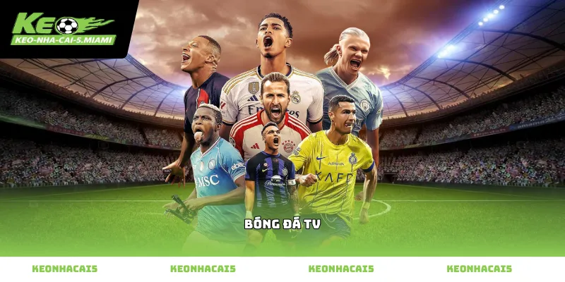 Hướng dẫn truy cập bóng đá tv nhanh chóng nhất