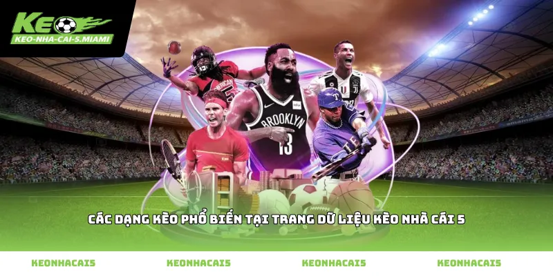 Các Dạng Kèo Phổ Biến Tại Trang Dữ Liệu Kèo Nhà Cái 5