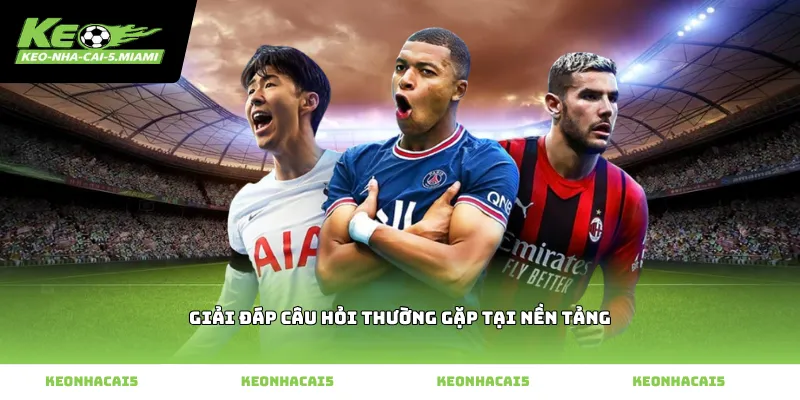 Giải đáp câu hỏi thường gặp tại nền tảng