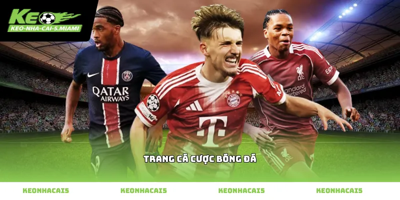 Trang cá cược bóng đá ứng dụng công nghệ trí tuệ nhân tạo